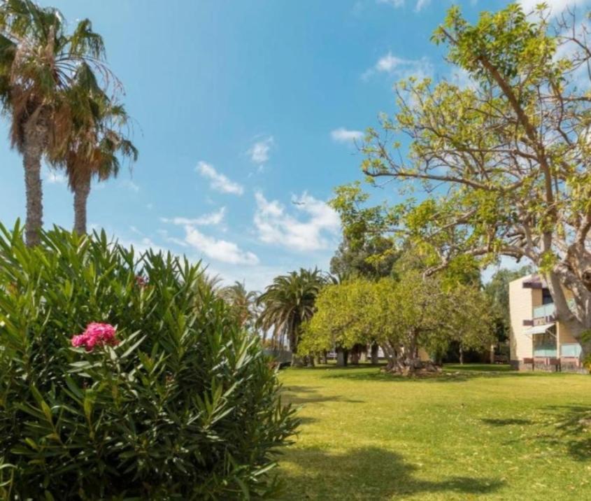 Galeria De Arte. Apartment Arona  Exterior photo
